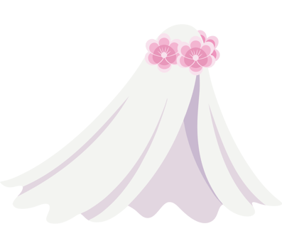 Wedding Veil Sheer Floral Elegant Bridal Fashion png