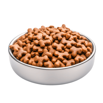Brown Dog Food Kibble in a Silver Bowl for Pet Nutritind Feeding png