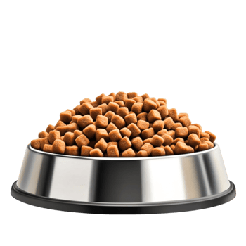 Fresh Dry Pet Food in a Stainless Steel Bowl for Dogs and Cats png