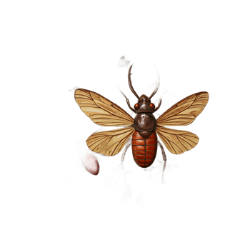 A captivating collection of meticulously detailed insects rests on a bed of autumn leaves, creating a rich, earthy, and slightly surreal mood. Intricate designs and vibrant colors. png