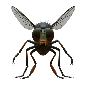 A menacing fly stares directly ahead, its large eyes and sharp mandibles creating a sense of unease. The intricate details and dark tones evoke a foreboding mood. png