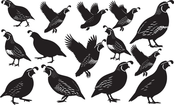Set of black silhouettes of quail and pheasant vector