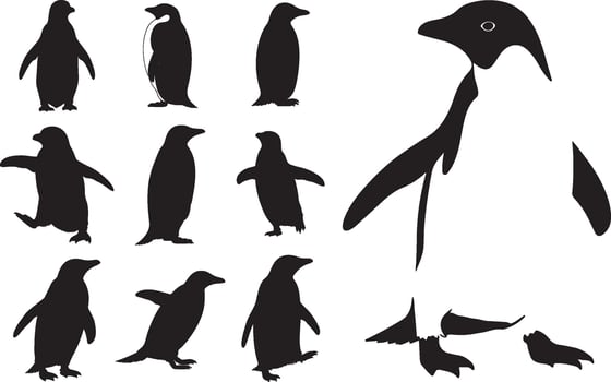 Penguin silhouette set illustration vector