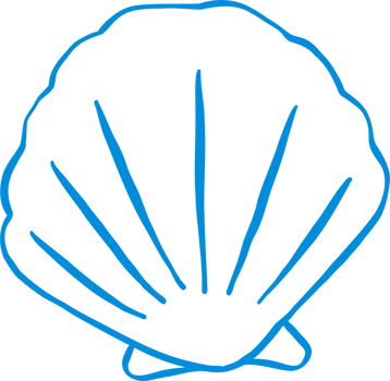 Coastal Cowgirl Simple Seashell Outline Playful Hand Draw png