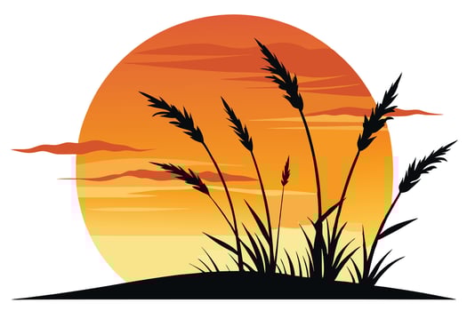 Silhouette Grasses at Sunset Design, Orange Sky, Black Grass Blades, Minimalist vector