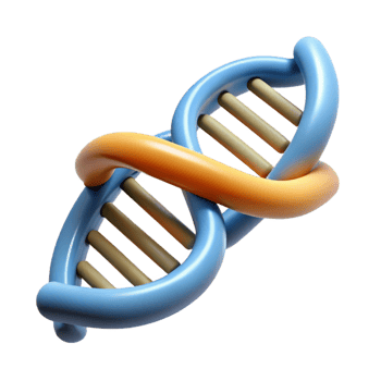 beautiful abstract Biotechnology DNA helix icon high resolution png