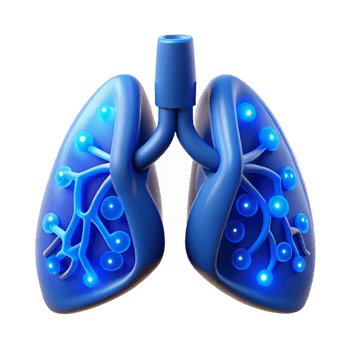 beautiful traditional Cybernetic lungs, artificial sacs, glowing blue veins high quality png
