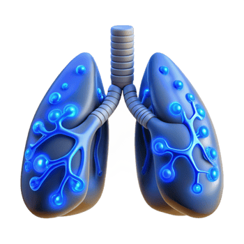 serene creative Cybernetic lungs, artificial sacs, glowing blue veins high quality png