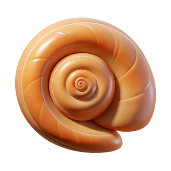 dramatic modern Single seashell, spiral shaped authentic png