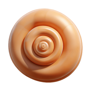 elegant artistic Single seashell, spiral shaped detailed png