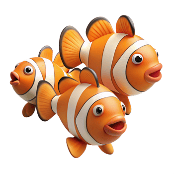 wonderful contemporary A school of clownfish high resolution png