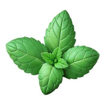 wonderful traditional Fresh mint leaves genuine png