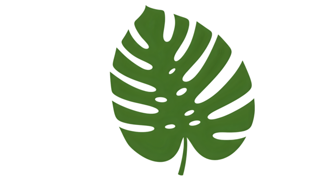 Isolated Monstera Leaf On Dark Background png