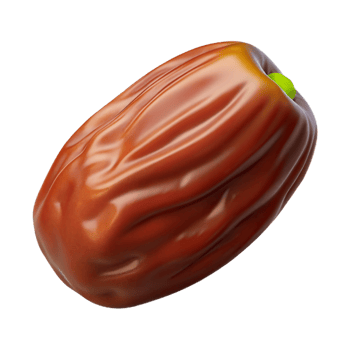beautiful minimalist Date fruit whole original png