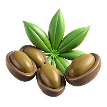 vibrant contemporary Hemp seed professional png