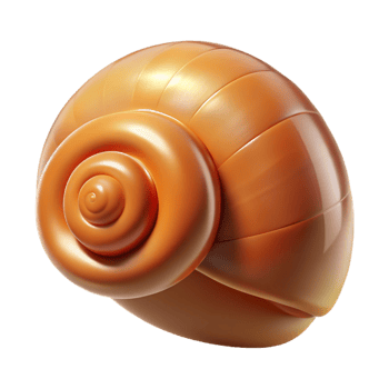 vibrant creative Snail shell professional png