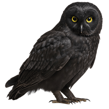 An isolated image of a majestic owl with vibrant yellow eyes staring intently at the viewer directly transparent background png