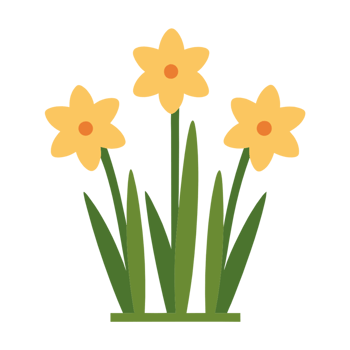 Daffodil Flowers in a Natural Style png