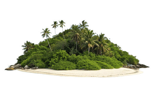 Lush Tropical Island Paradise with White Sand Beach and Coconut Palm Trees png