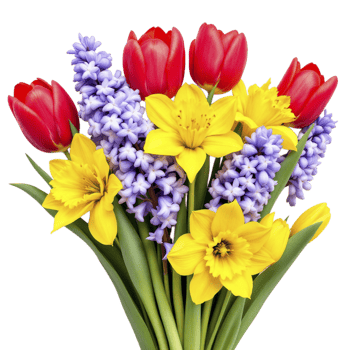 Spring flowers in a vase png