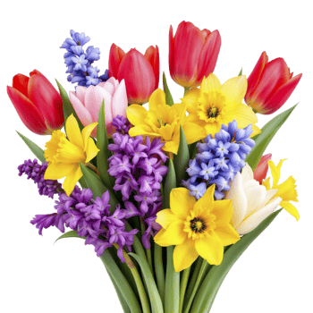 A bouquet of colorful flowers is shown in the image png