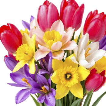 A bouquet of colorful flowers is shown png