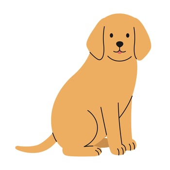 Cute labrador retriever dog sitting on white background. Isolated golden puppy. Adorable pet. Domestic animal in simple style. Flat illustration for pet shop, veterinary clinic vector