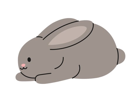 Cute grey rabbit sitting on white background. Isolated bunny. Adorable pet. Domestic or wild animal in simple style. Flat illustration for pet shop, veterinary clinic vector