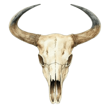 A watercolor painting of a weathered animal skull with horns png