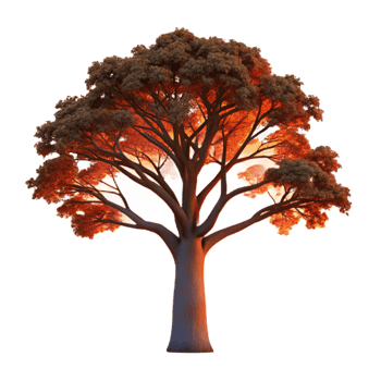vibrant traditional A Majestic Oak Tree Silhouetted Against a authentic png