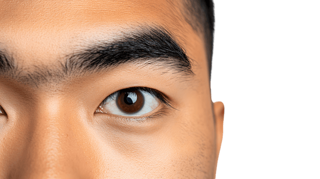 Closeup of a persons eye and eyebrow detailed texture high resolution png