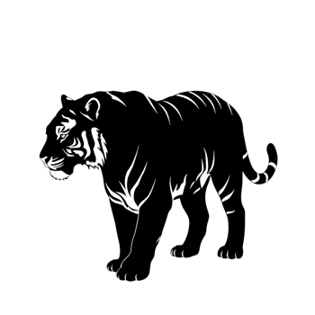 Elegant Line Art Illustration of a Tiger png