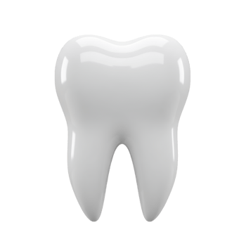 3D Render of a Single, Healthy White Tooth png