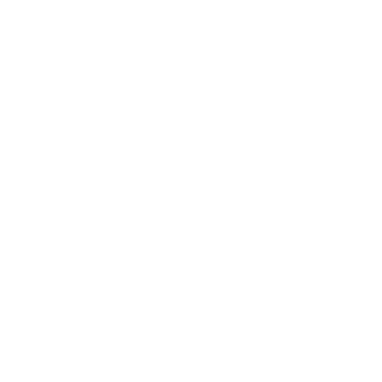 Minimalist White Correct Icon png