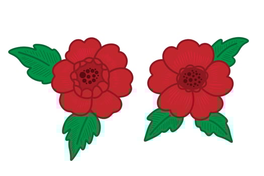 Hand drawn Asian Camellia Red Floral Bloom Flower Head Stylized Hand Drawn Illustration vector