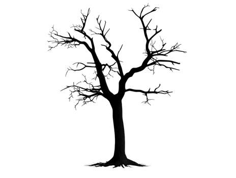 A detailed silhouette of barren tree with intricate branches, showcasing its stark beauty and natural form. This evokes sense of solitude and passage of time png