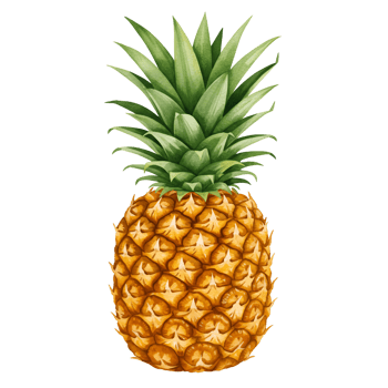 Isolated pineapple with green leaves standing upright on a plain colored simple background art style image transparent background png