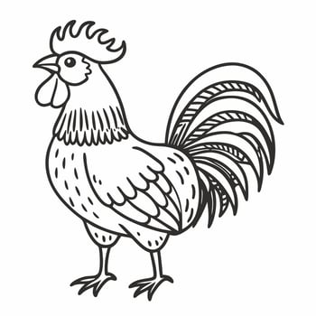 Intricate Line Art of a Rooster Detailed Hand Drawn Illustration vector