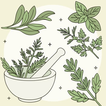 Herbal Medicine Mortar and Pestle with Assorted Green Herbs and Spices for Natural Healing vector