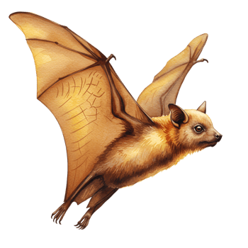 Illustration of a light brown bat with wings spread against a plain isolated background transparent background png