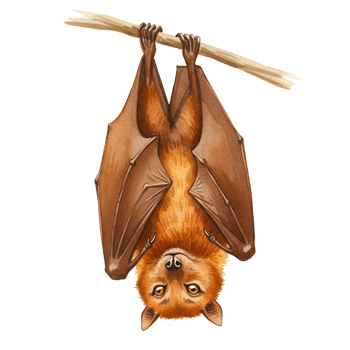 Illustration of a brown bat hanging upside down from a light brown branch with wings spread open transparent background png