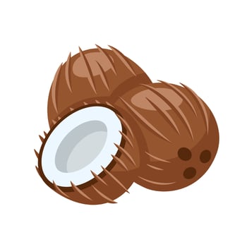 Coconut brown icon isolated on white background vector
