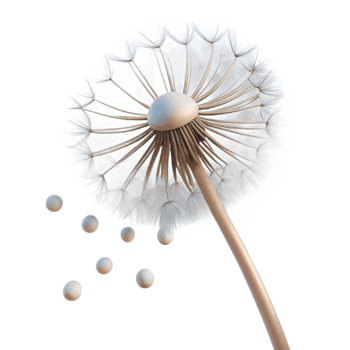 magnificent abstract A Single Dandelion Seed Head 4K png