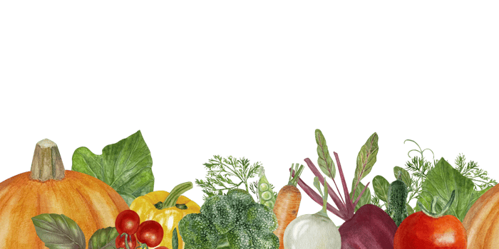 Fall vegetables harvest watercolor banner. Farm plants template with copy space for rustic farm designs. Orange pumpkin, bell pepper, and cherry tomatoes with green leaves png