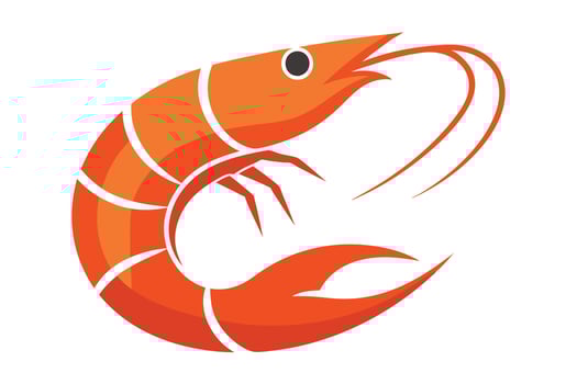 Shrimp Art, Orange Seafood on White Background, Aquatic Animal vector