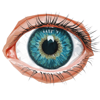 Closeup Of A Detailed Blue And Teal Human Eye With Long Eyelashes On png