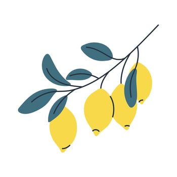 Illustration of four lemons on branch with leaves. Perfect for summer, botanical and food designs. vector