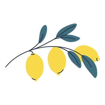 Simple illustration of three lemons on branch with leaves. Perfect for summer and food designs. vector