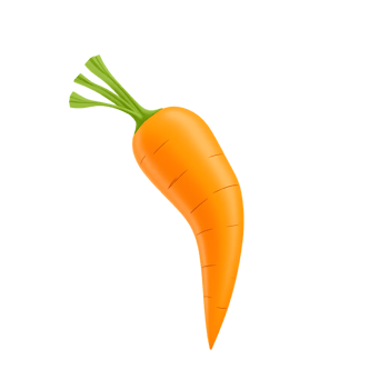 Fresh and healthy carrot isolated on transparent background png