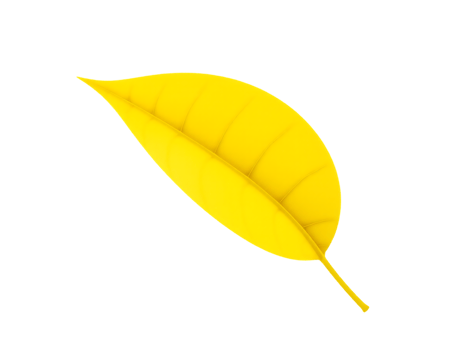 Bright Yellow Leaf Isolated on Transparent Background png